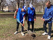 Запорожская область впервые присоединилась к акции "Сад памяти"