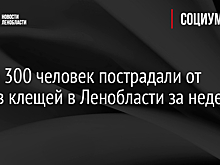 Более 300 человек пострадали от укусов клещей в Ленобласти за неделю