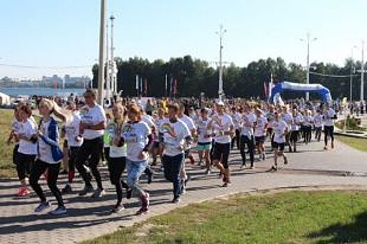 Около тысячи человек поучаствовали в Воронежском марафоне