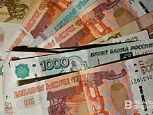 Татарстанским сельскохозяйственным товаропроизводителям дадут 134 млн рублей на возмещение части их затрат