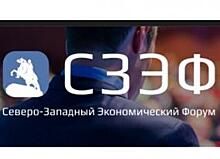 Диалог с властью. Борис Титов и Сергей Полонский — спикеры Северо-Западного Экономического Форума (СЗЭФ 2018)