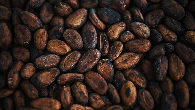 Стоимость какао на бирже вдвое превысила рекорд 1977 года