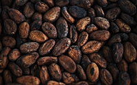 Стоимость какао на бирже вдвое превысила рекорд 1977 года
