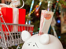 Россиянам рассказали, кто может рассчитывать на новогодние премии