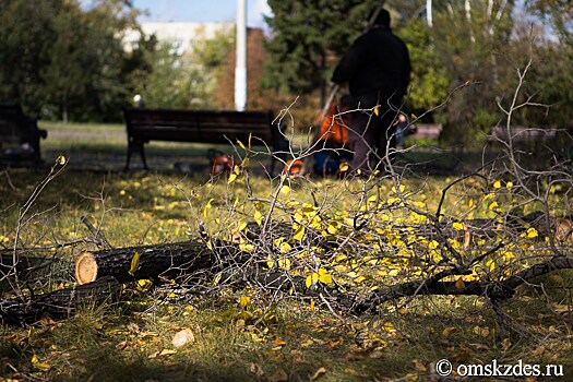 В Омске начинается обработка города от клещей