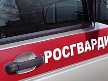 Сотрудники Росгвардии в Зеленограде нашли потерявшегося пятилетнего мальчика