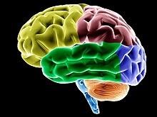 В Санкт-Петербурге состоялась первая конференция по проблемам инсульта