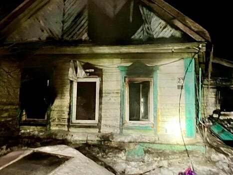 Кошки, попугай и шиншилла погибли при пожаре в частном доме в Саратовской области