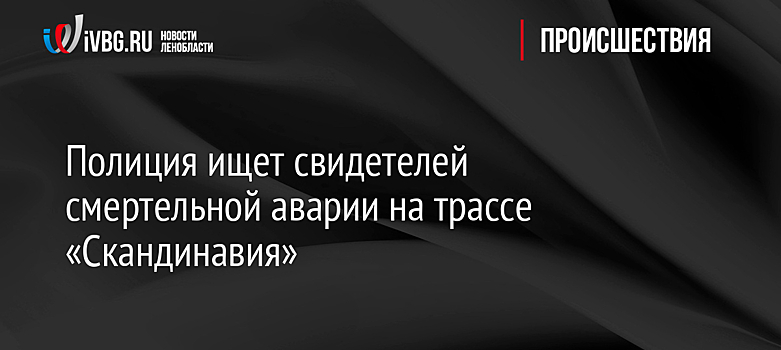 Полиция ищет свидетелей смертельной аварии на трассе «Скандинавия»