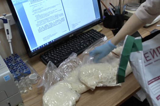 В Подмосковье полицейские задержали подозреваемого в сбыте почти 3 кг наркотиков