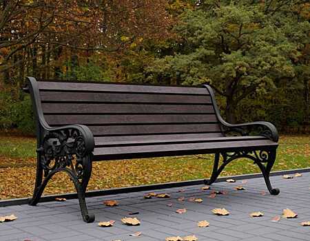 В центре Воронежа появится скамья «Бунин»