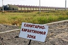 На границе РФ с Украиной в Ростовской области установили карантинную зону