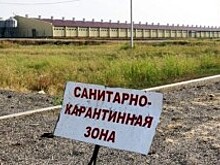 На границе РФ с Украиной в Ростовской области установили карантинную зону