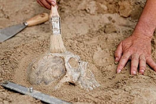 Найденную на Ямале мумию женщины исследуют ученые Тюмени и Сеула