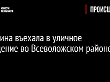 Женщина въехала в уличное освещение во Всеволожском районе