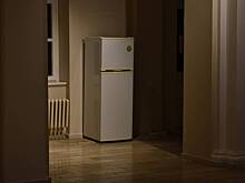 Женщина 20 лет хранила тело дочери в морозилке