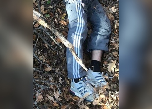 «Оторвана кисть и разворочена грудь»: в Волгограде на Лысой горе нашли труп мужчины в трико adidas