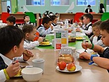 Ларионова: форму родительского контроля за школьным питанием необходимо совершенствовать