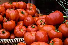 Нутрициолог предупредила о риске комы из-за помидоров