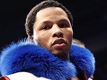 Популярные боксеры поругались из-за отношения к ментальному здоровью