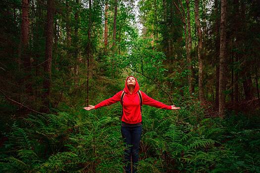 Почему Александров день называют «Лесное ухоженье»