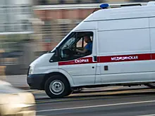 В Пермском крае мужчина сломал позвоночник женщине из-за ее собак