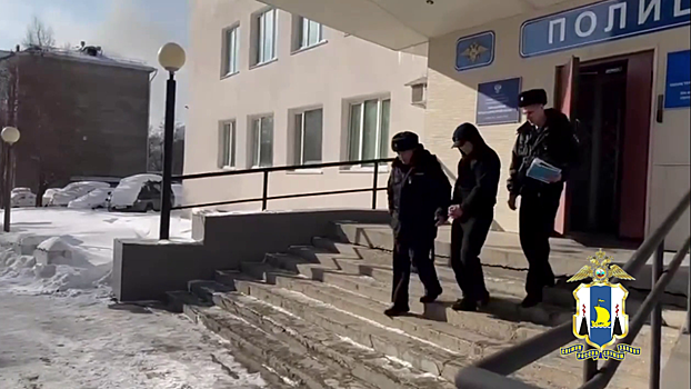 На Сахалине заключён под стражу иностранец, допустивший наезд на 9-летнюю школьницу и её маму