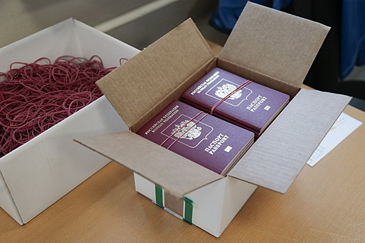 Получившая паспорт России украинка оскорбила бойцов СВО и поплатилась