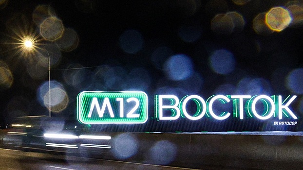 Водителям порекомендовали не ездить по М-12