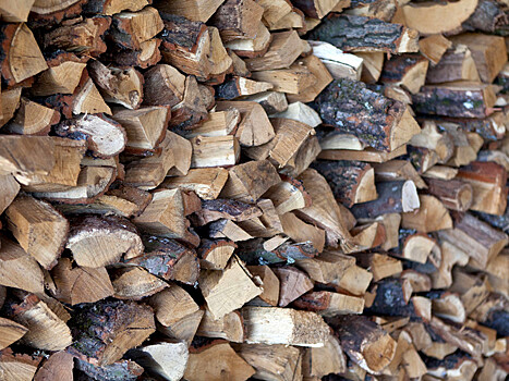 Военный суд в Мурманской области вынес приговор офицерам за многомиллионное мошенничество при поставке дров