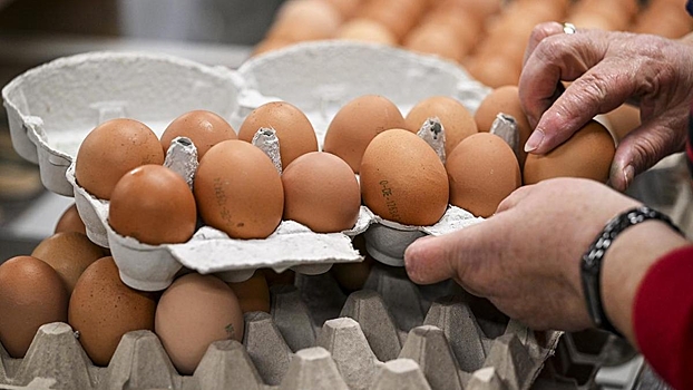 Поставки яиц из Турции в Россию отложили из-за шторма на Черном море