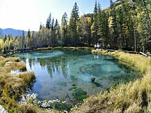 Систему выявления бесхозных объектов, наносящих вред экологии, хотят усовершенствовать