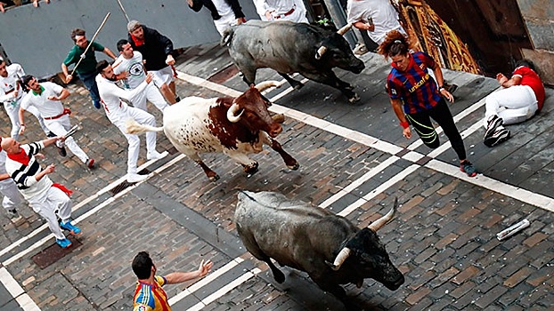 В Испании госпитализировали двух человек после забега быков на фестивале