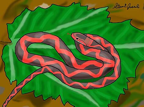 Обнаружена древняя «крылатая» змея