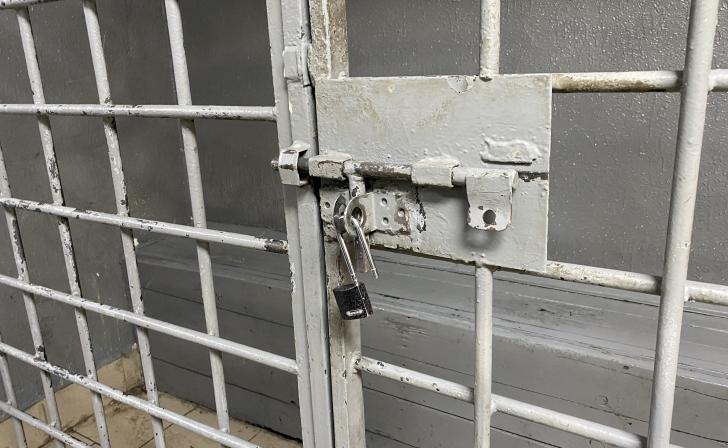 В Курске задержан мужчина, жестко избивший жену и тещу