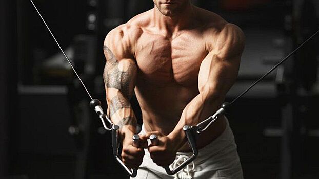 5 лучших упражнений на тренажерах для мышц груди