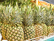 Голая девушка "возносила молитву" ананасам в продуктовом магазине в Москве