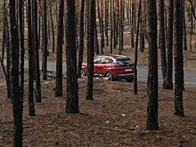 Вплоть до конфискации авто: в России ужесточили наказание за выброс мусора из машины