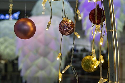 На Урале родители потеряли сына из-за гирлянды