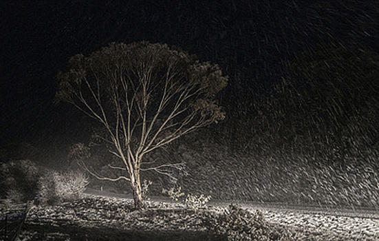 Reuters: часть городов Австралии накрыл рекордный за 40 лет снегопад