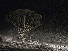 Reuters: часть городов Австралии накрыл рекордный за 40 лет снегопад