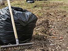 В Сахалинской области Всероссийский субботник проведут 22 апреля