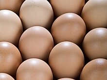 WP: Украина готова отправлять яйца в США ради сохранения поддержки