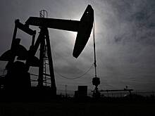 Добыче нефти в США предсказали падение вопреки планам Трампа