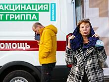 На смену свиному гриппу в России пришел опасный грипп группы В