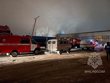 Ночной пожар на СТО в Саратове уничтожил автобус с запасными шинами