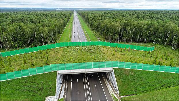 Первый на Кузбассе экодук будет построен в рамках проекта Северо-Западного обхода Кемерова