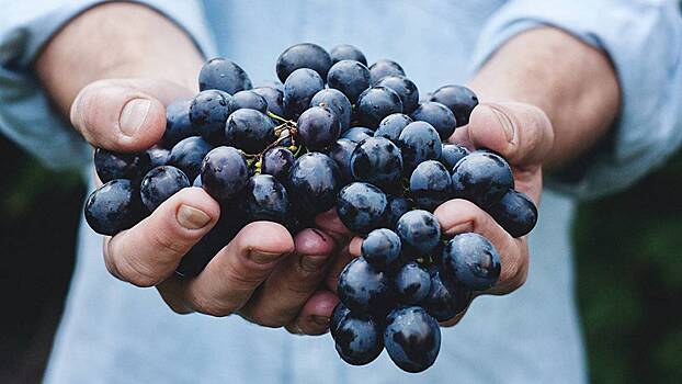 Можно ли есть виноград людям с диабетом