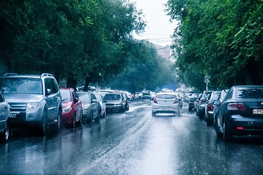 Последний день ноября принесет в Волгоградскую область дождь и тепло