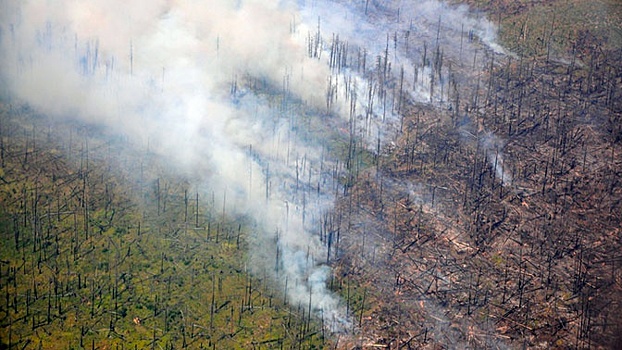 В Якутии сократилась площадь лесных пожаров